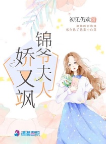 锦爷夫人娇又飒